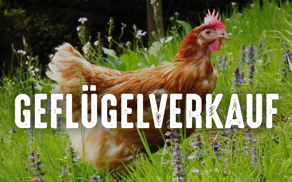 Geflügelverkauf