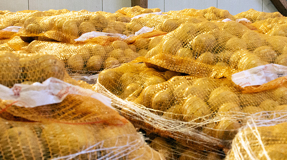 Kartoffeln in Netzen