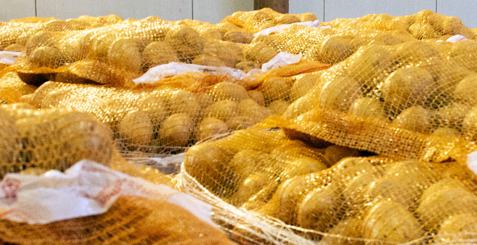 Kartoffeln in Netzen